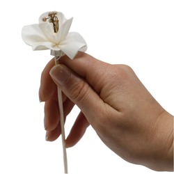NATURAL FLOWER DIFFUSER   REEDS - SMALL LILY ON A REED. SOLD OUT