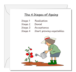 THE 4 STAGES OF AGING LADY