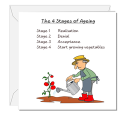 THE 4 STAGES OF AGING MAN